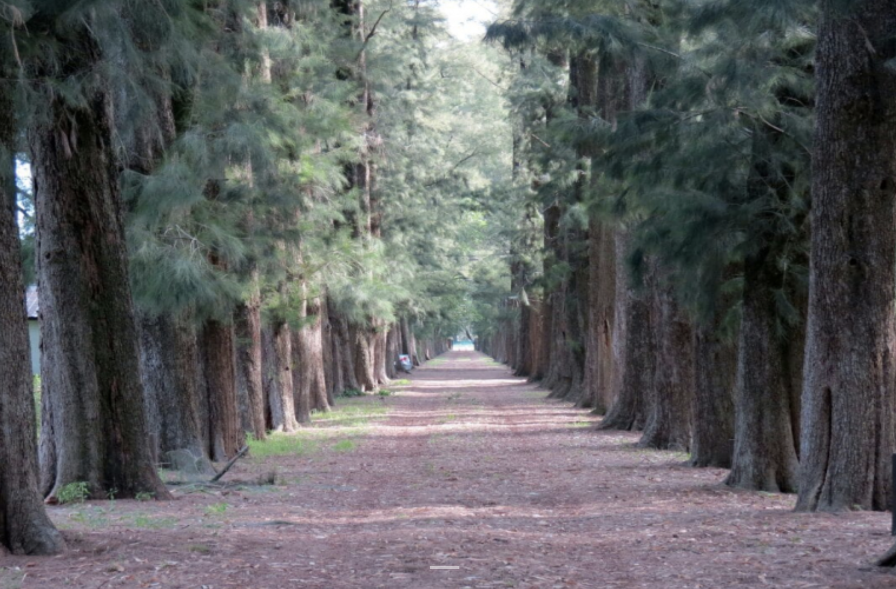 Camping recreativo - Imagen 5